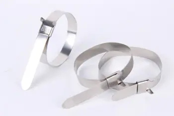 https://www.zjyq-xxdf.com/stainless-steel-kabelbinders-wing-buckle-l-type-uncoated-tie-product/